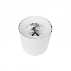 SPOT LED APPARENT ROND COB EPISTAR 30W